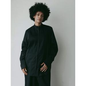 ブラウス シャツ ピンタックシアーブラウス レディース