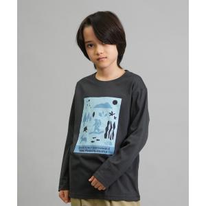 tシャツ THE NORTH FACE/ザ・ノース・フェイス L/S SHIRETOKO T キッズ ロンT NTJ82530ST
