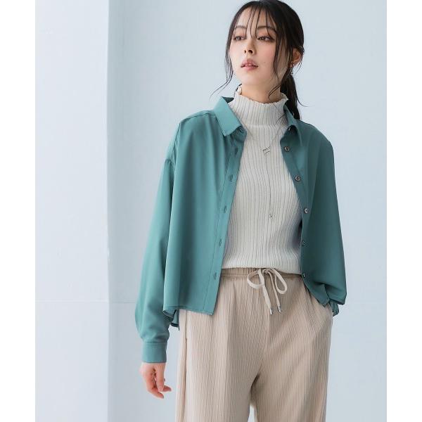 ブラウス シャツ 「大きいサイズ」 シアーショート丈シャツ（吸汗速乾・防しわ） レディース
