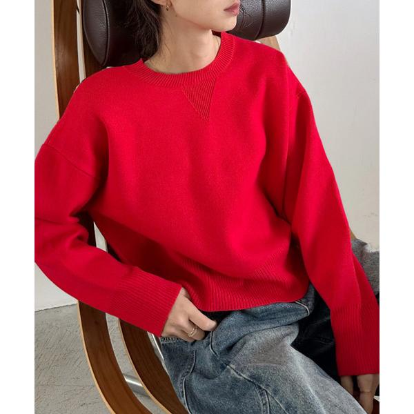 トレーナー スウェット 「Good Riddance」スウェット ライク ガゼット ニット レディー...