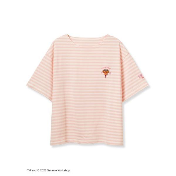 tシャツ 「LADIES」マリンボーダー コットンプルオーバー レディース