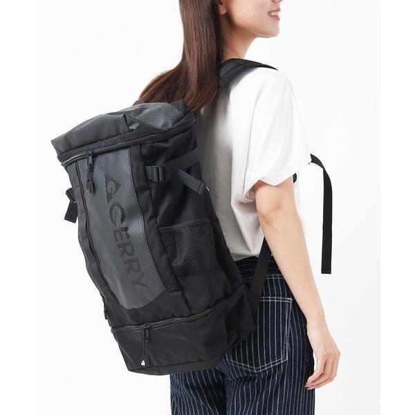 デイバック リュック GERRY ジェリー バックパック 撥水レインカバー付き 大容量リュック メン...