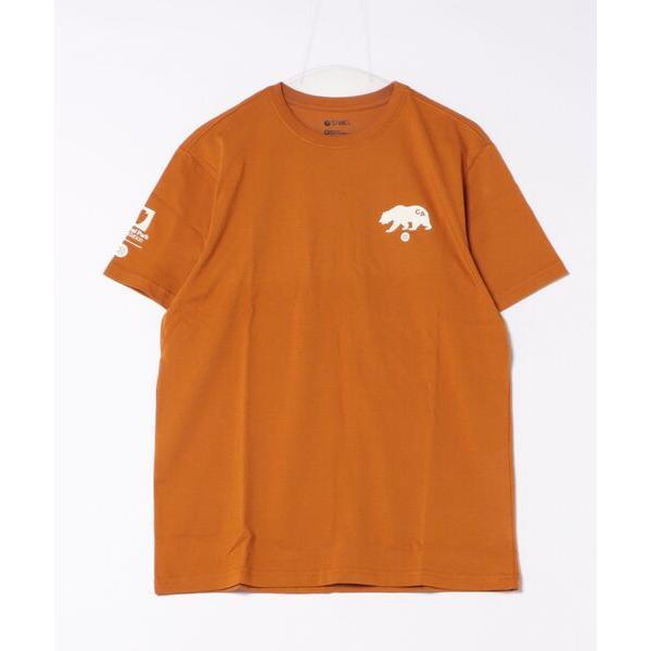 tシャツ 「STANCE/スタンス」ヨセミテ国立公園コラボモデル　バックプリントコットンTシャツ　ユ...