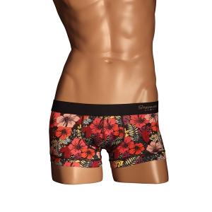 ボクサーパンツ Gravevault グレイブボールト emotions メンズ ローライズ ボクサーパンツ