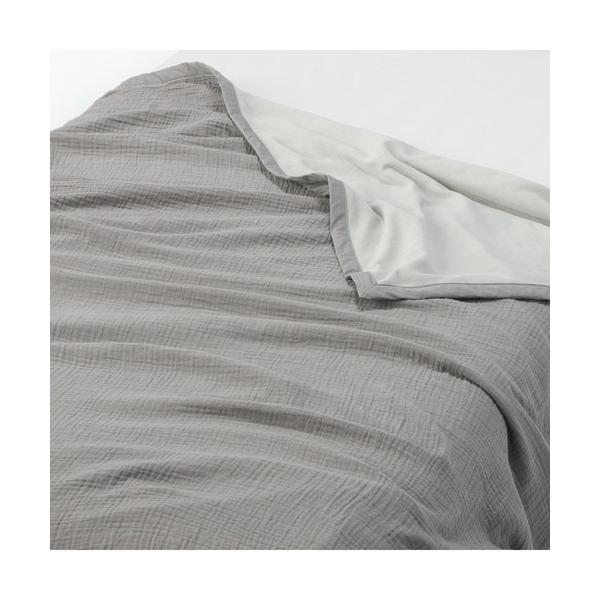ブランケット 綿ガーゼ　綿混ベロア　リバーシブルブランケット・Ｄ　１８０×２００ｃｍ