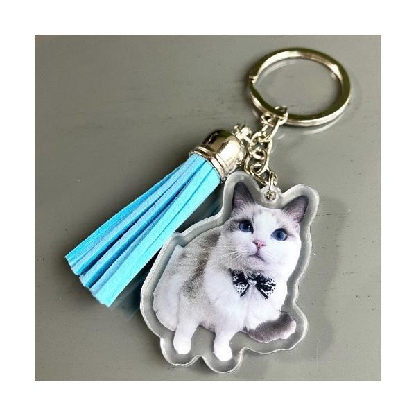キーホルダー 「eto」ラグドール キーホルダー(MA)