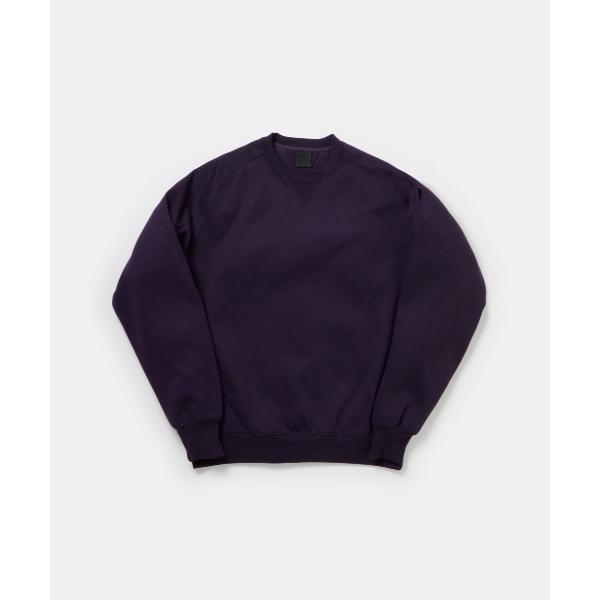 トレーナー スウェット DAIWA PIER39 TECH SWEAT CREW FREEDOM S...