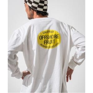 tシャツ FRUIT LSTEE メンズ レディース