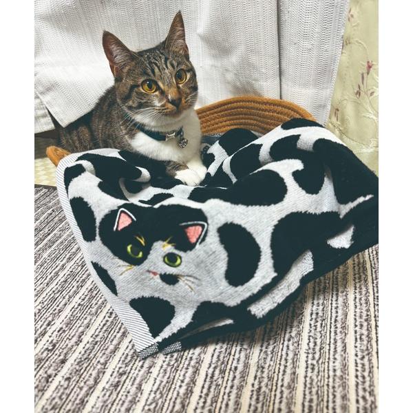 タオル 「今治タオル」ニャンコの毛並みを今治タオルで再現！猫種ごとの毛並みや表情を刺繍で丁寧に表現し...