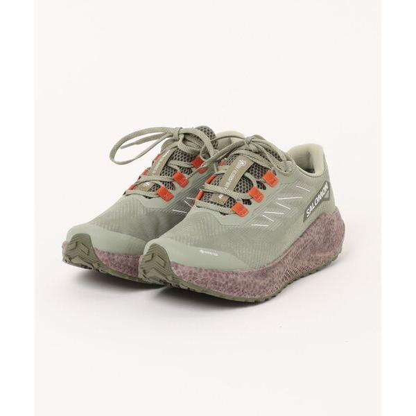 サロモン salomon スニーカー 「SALOMON」AERO BLAZE3 GRVL GTX メ...