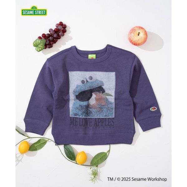 トレーナー  「FRUIT OF THE LOOM」長袖スウェット(5) / キッズ / セサミスト...