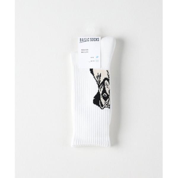 靴下 「BASIC SOCKS」グラフィックデザインクルーソックス メンズ