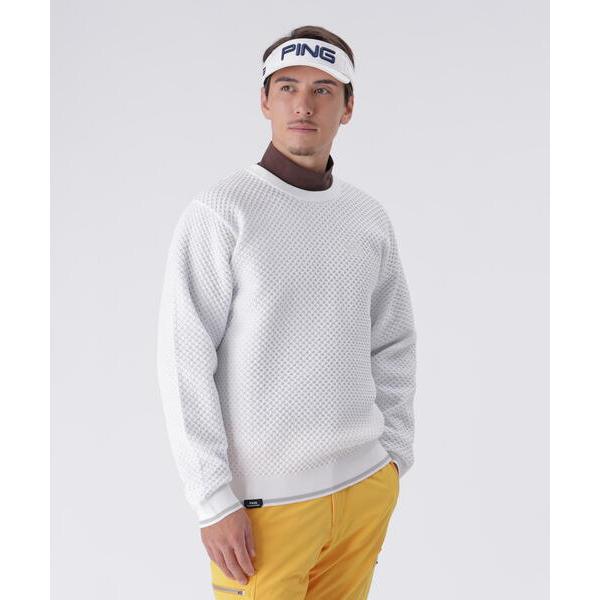 セーター ニット 「PING APPAREL」ハチノス編みクルーネックニットプルオーバー 「PERF...
