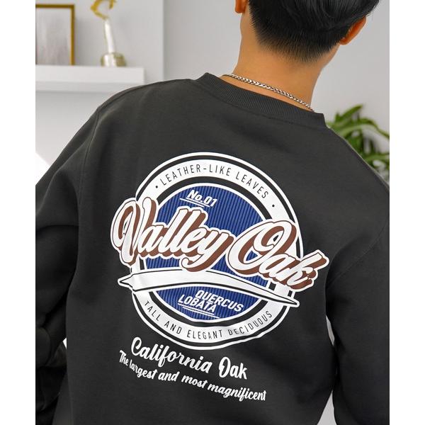 トレーナー スウェット ワンポイント ロゴ 裏起毛 スウェット 長袖 トレーナー メンズ レディース