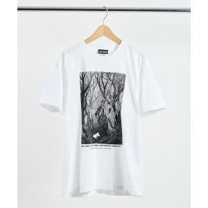tシャツ 「 MOOMIN / ムーミン 」 プレミアムTシャツ　彗星（ムーミン）　WNI レディース メンズ