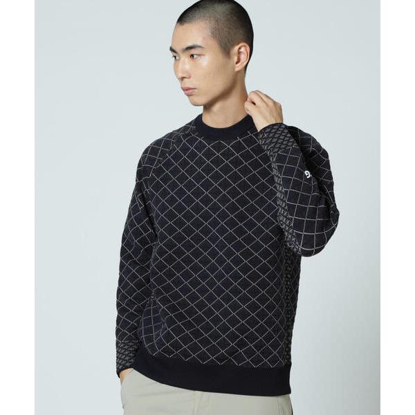 セーター ニット 「ＰＧＧ」地柄ポリエステルヤーンmm メンズ