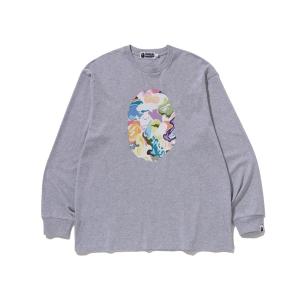 A BATHING APE（アベイシングエイプ） tシャツ GARMENT DYE COLLEGE