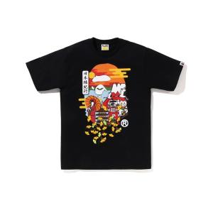 A BATHING APE（アベイシングエイプ） tシャツ JAPAN CULTURE SPRING