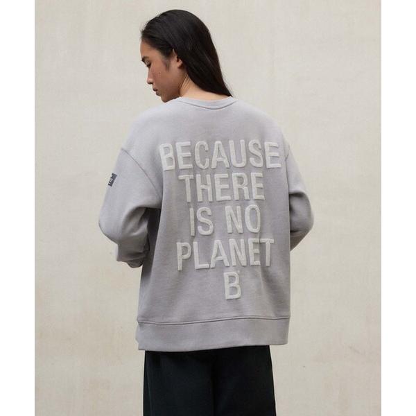 トレーナー スウェット STORM BECAUSE スウェット / STORM SWEATSHIRT...