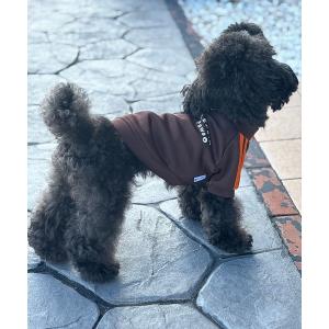 snow peak（スノーピーク） 犬 服 Snow Peak / Dog Winter Guard