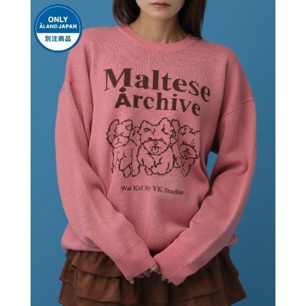 ニット セーター 「UNISEX」Wai Kei×ALAND／Amaltese ニット レディース ...