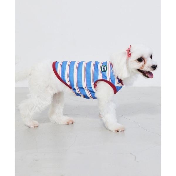 犬 服 もちもちペットT