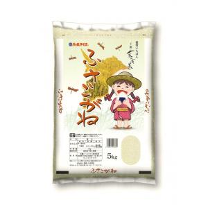パールライス 千葉県産ふさこがね 5kg 平成29年産...