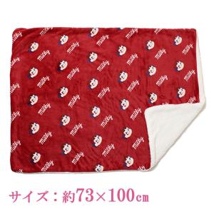 ブランケット ボア付き 冬用 かわいい キャラ...の詳細画像3
