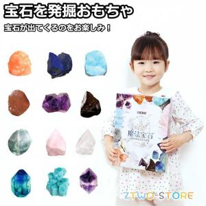 鉱石 セット販売 Amazon | XXTOYS 鉱石標本 宝石おもちゃ 化石 天然鉱石 ジオード