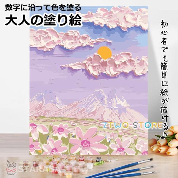 大人の塗り絵 数字キット フレーム付き 50x40cm ナンバーペイント 絵画 アクリル絵の具 塗り...