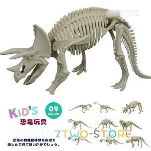 知育玩具 黄金の発掘名人 SUPER DX 全6種 恐竜 ノブカンパニー 爆買