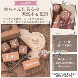 月齢フォト マンスリーカード 月齢カード レタ...の詳細画像3