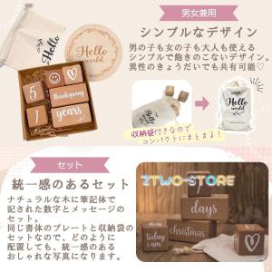 月齢フォト マンスリーカード 月齢カード レタ...の詳細画像4
