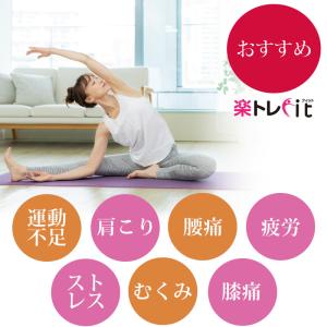 【送料無料】楽トレfit お助け腹筋ローラー ...の詳細画像5