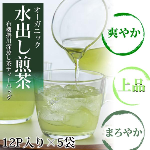 有機 オーガニック 水出し煎茶 掛川茶 深蒸し茶 ティーバック オーガニック 緑茶 粉末 パック