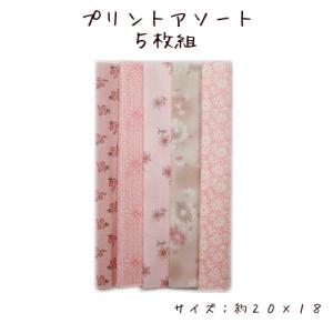 プリントアソート5枚組　【ピンク】（約20×18）※写真は一例です。柄色は異なるものが届きます。｜zui