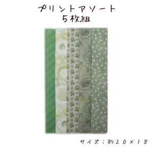プリントアソート5枚組　【グリーン】　（約20×18）　※写真は一例です。柄色は異なるものが届きます。｜zui