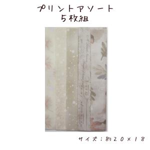 プリントアソート5枚組　【ベージュ】　（約20×18）　※写真は一例です。柄色は異なるものが届きます。｜zui