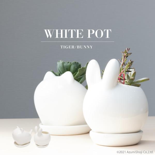 ミニ鉢 トレー付き 植木鉢 鉢 多肉植物鉢 サボテン セラミック プランター おしゃれ 北欧 観葉植...