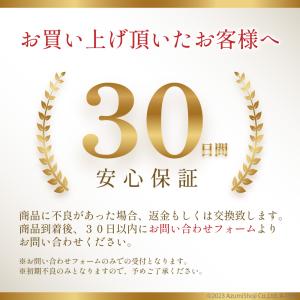 スノーステップ 雪 転倒防止 対策 スノースパ...の詳細画像5