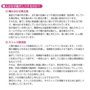 メリードア 歯ぎしりくんα 2個セット 歯ぎし...の詳細画像2