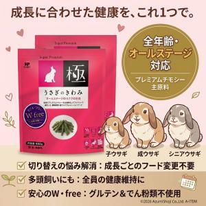 ハイペット うさぎのきわみ 850g 4個セッ...の詳細画像1