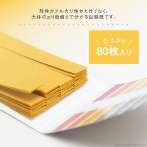 リトマス試験紙 ブック型 80枚入り ペーハー...の詳細画像1