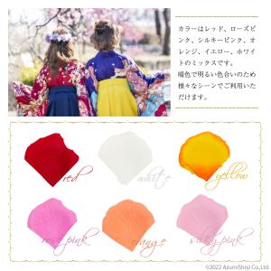 フラワーシャワー 1200枚 ミックス 花びら...の詳細画像2