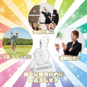 いいねトロフィ 箱付き いいね トロフィー ゴ...の詳細画像1