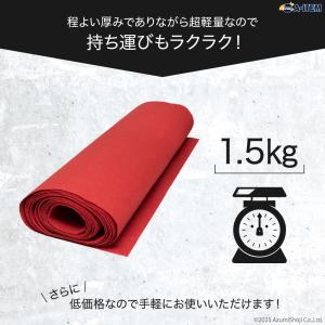 レッドカーペット 1×10m 繰り返し使える ...の詳細画像2