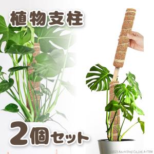 植物 支柱 30cm 2本セット ココナッツ 繊維 つる性植物 観葉植物 鉢植え モンステラ ポトス 支柱 ツタ アイビー つるバラ 光合成 剪定 園芸 ガーデニング