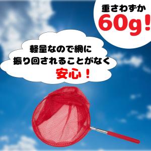 虫捕り網 伸縮 3段階 カラーランダム 伸縮式...の詳細画像2