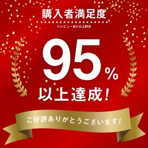 衝撃吸収 インソール 靴用中敷き 疲れない ス...の詳細画像2