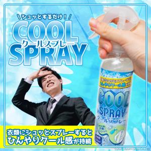 クールスプレー 3本セット 冷却 スプレー アイシング